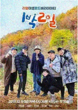 音乐综艺乐队请回答在线观看